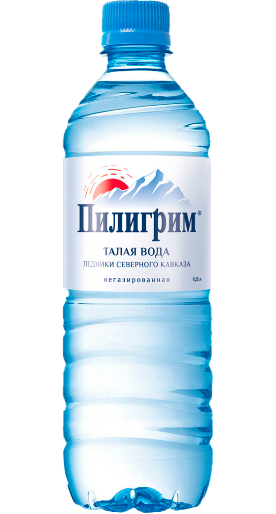 Вода питьевая Пилигрим 0,5л х 12 бут негаз- главное фото