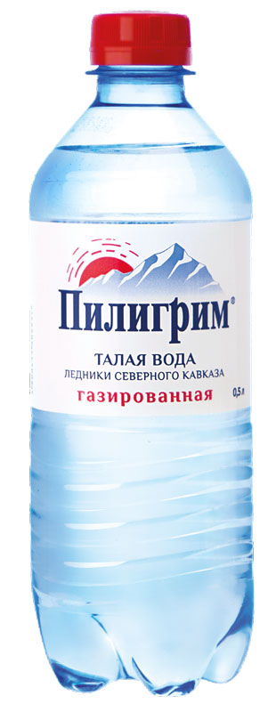 Вода питьевая Пилигрим 0,5л х 12 бут газ- главное фото